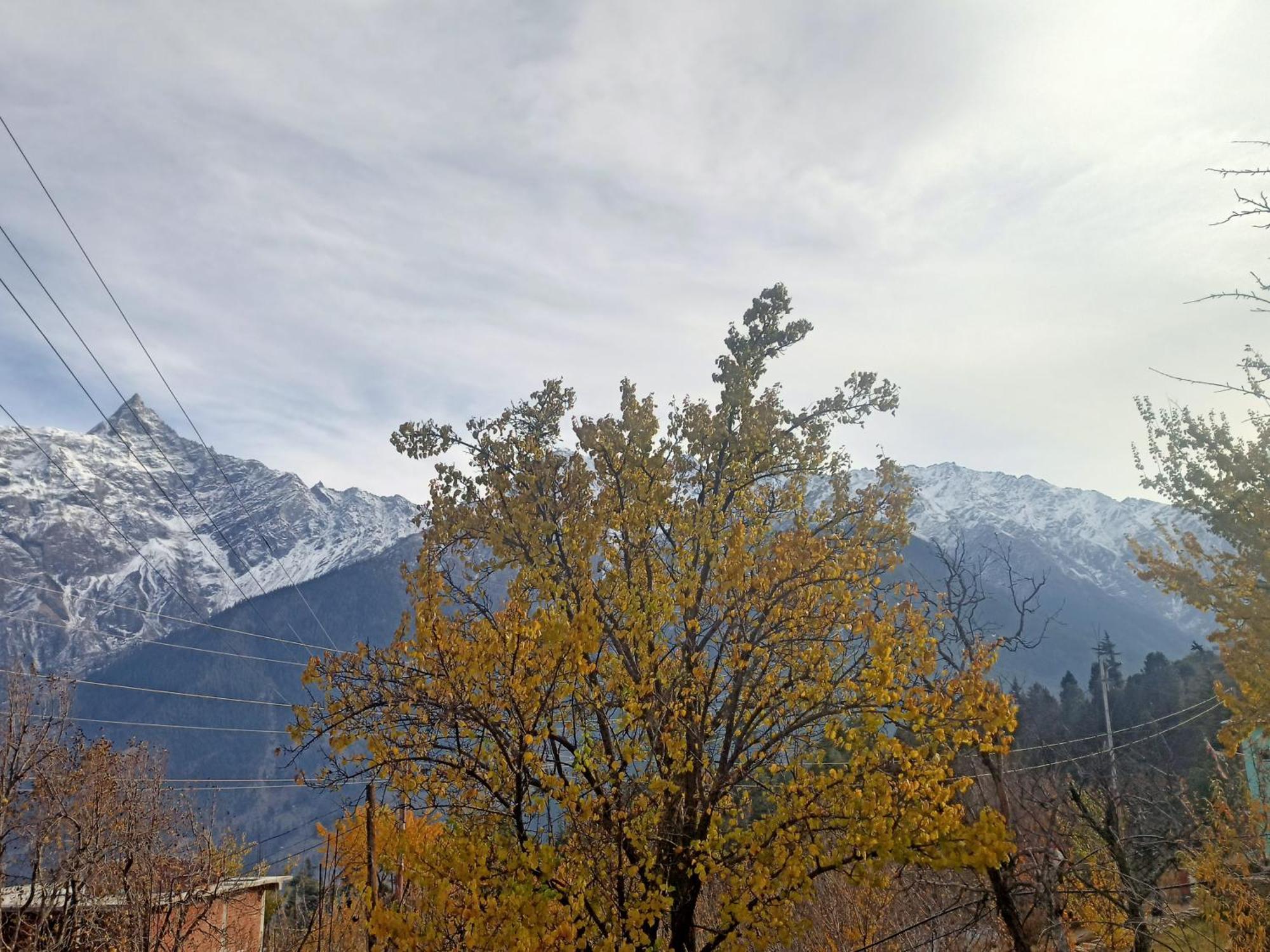 The Shudarang Inn Kalpa Exterior foto